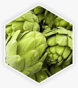 Artichoke — High in antioxidants to support liver and prostate health