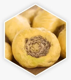 Maca Root — An Alpine superfood used to boost stamina and natural energy.