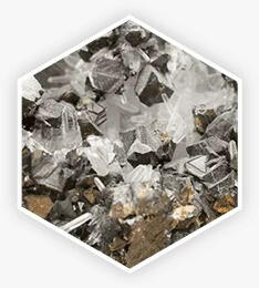 Zinc — Essential for maintaining a healthy prostate and supporting natural hormone levels.